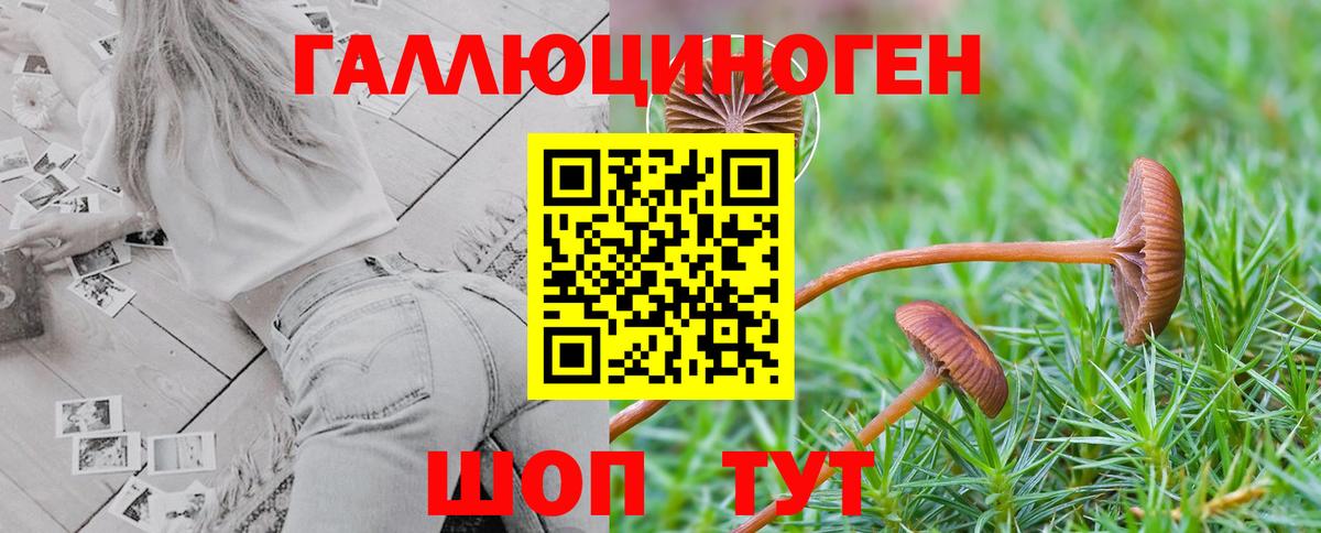 Галлюциногенные грибы ЛСД  Вход с VPN  где можно купить наркотик  Рязань 