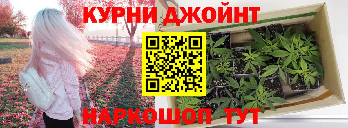 Бошки марихуана гибрид  Марихуана план  Канабис VHQ  Рязань  Вход с VPN  Каннабис THC 21% 